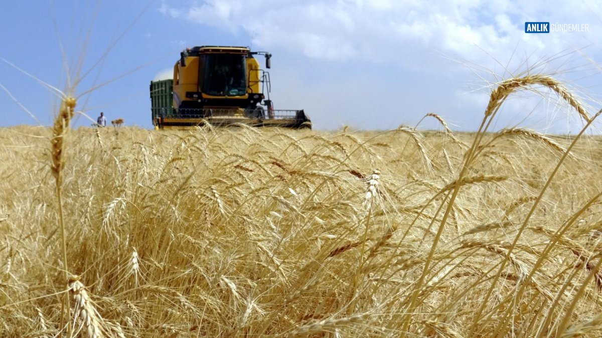 Üretimin Kalbi Çiftçilere Can Suyu: 6.4 Milyar TL'lik Tarımsal Destek Ödemeleri Hesaplarda
