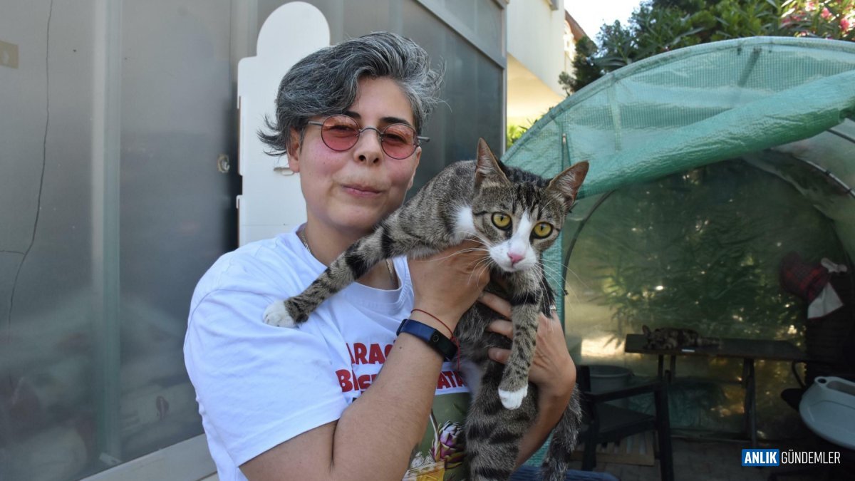 İzmir'de Akılalmaz Olay: 'Erkek' Kedisi Cengo Annelik Yapınca Herkes Şoke Oldu!