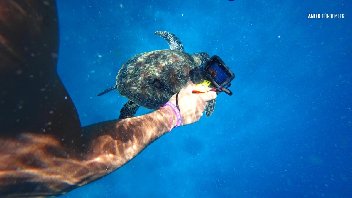 Aksiyon Kamerası İkonu GoPro, Çinli Rakipler Karşısında Zorlu Bir Dönemeçte
