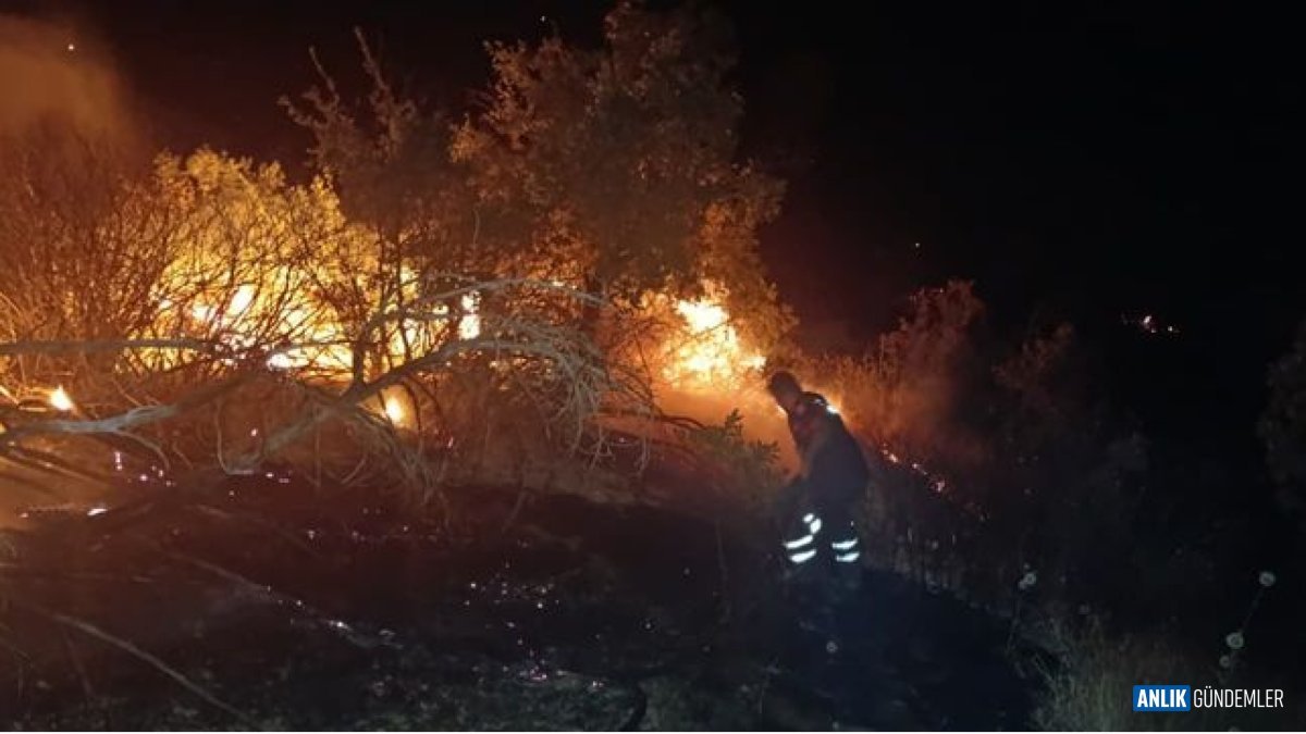 Türkiye'nin Beş Gözü Bu Yangınlardaydı! Ekipler Canla Başla Mücadele Etti, Peki Sonuç Ne Oldu?